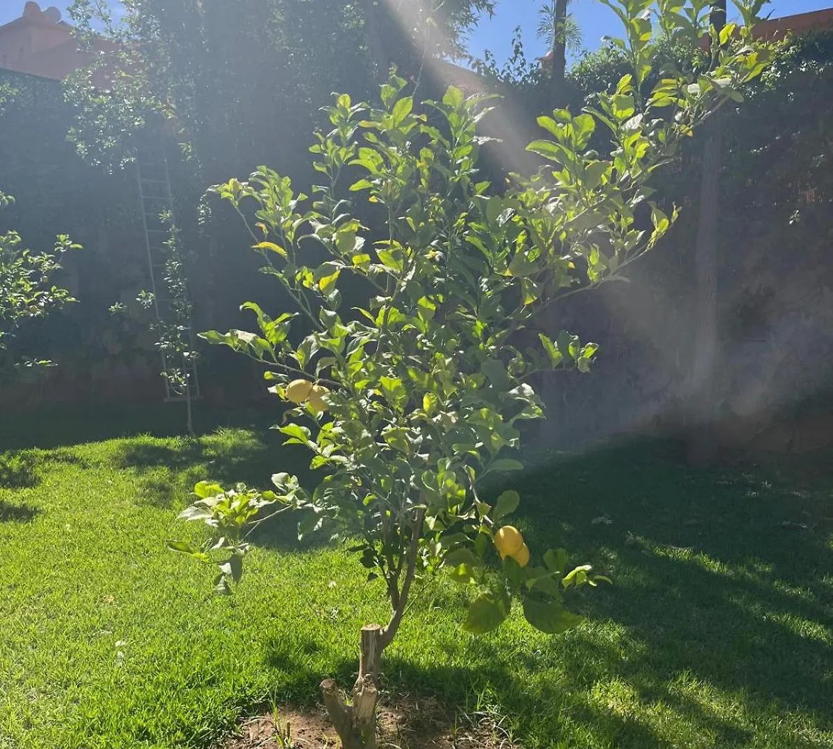 Villa Apricot - Golf Amelkis Marakeş